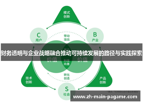 财务透明与企业战略融合推动可持续发展的路径与实践探索